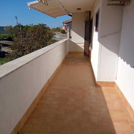 Apartment Degobbis Rovinj Eksteriør billede